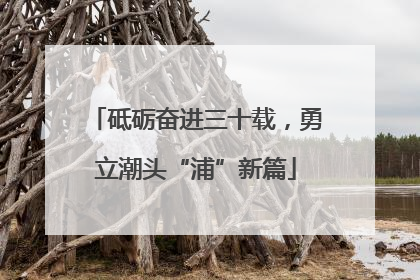 砥砺奋进三十载，勇立潮头“浦”新篇