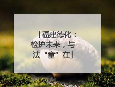 福建德化：检护未来，与法“童”在