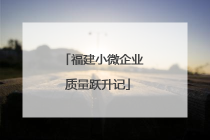 福建小微企业质量跃升记