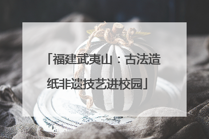福建武夷山：古法造纸非遗技艺进校园