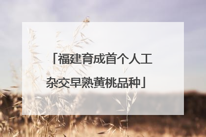 福建育成首个人工杂交早熟黄桃品种