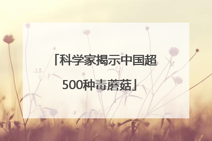 科学家揭示中国超500种毒蘑菇