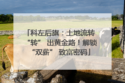 科左后旗：土地流转 “转” 出黄金路！解锁 “双薪” 致富密码