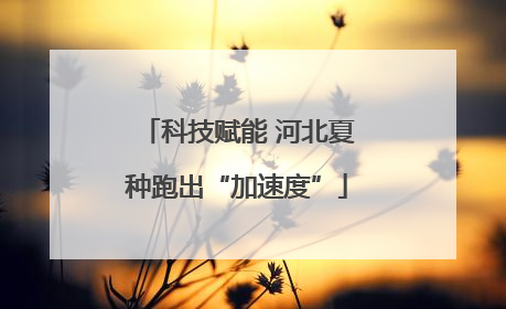 科技赋能 河北夏种跑出“加速度”