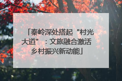 秦岭深处搭起“村光大道”：文旅融合激活乡村振兴新动能