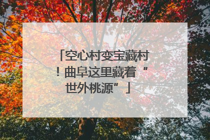 空心村变宝藏村！曲阜这里藏着“世外桃源”