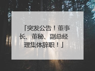 突发公告！董事长、董秘、副总经理集体辞职！