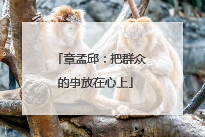 章孟邱：把群众的事放在心上
