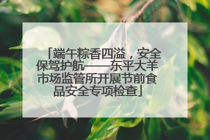 端午粽香四溢，安全保驾护航——东平大羊市场监管所开展节前食品安全专项检查