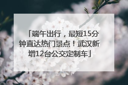 端午出行，最短15分钟直达热门景点！武汉新增12台公交定制车