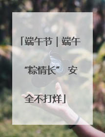 端午节｜端午“粽情长” 安全不打烊