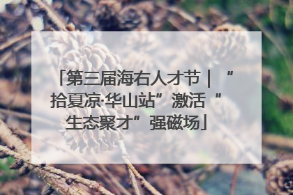 第三届海右人才节｜“拾夏凉·华山站”激活“生态聚才”强磁场