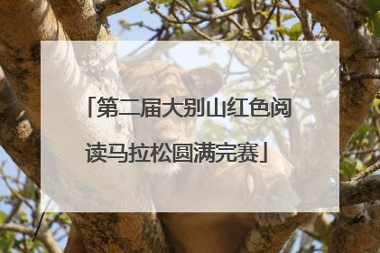 第二届大别山红色阅读马拉松圆满完赛