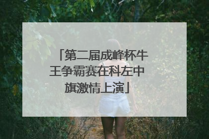 第二届成峰杯牛王争霸赛在科左中旗激情上演