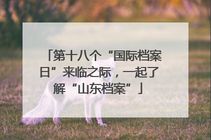 第十八个“国际档案日”来临之际，一起了解“山东档案”