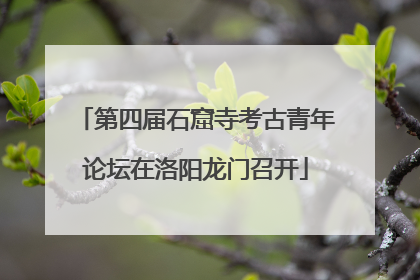 第四届石窟寺考古青年论坛在洛阳龙门召开
