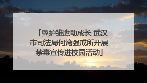 翼护雏鹰助成长 武汉市司法局何湾强戒所开展禁毒宣传进校园活动