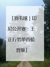 羽毛球｜印尼公开赛：王正行男单首轮晋级