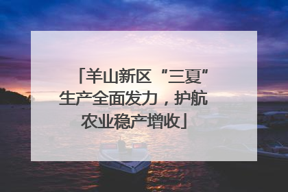 羊山新区“三夏”生产全面发力，护航农业稳产增收