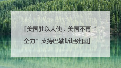 美国驻以大使：美国不再“全力”支持巴勒斯坦建国