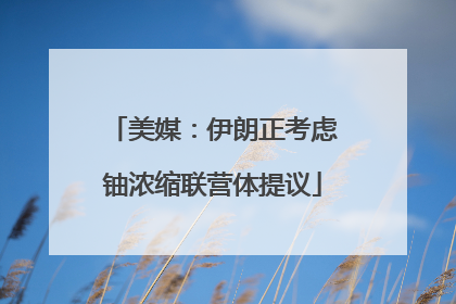 美媒：伊朗正考虑铀浓缩联营体提议
