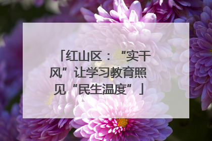 红山区：“实干风”让学习教育照见“民生温度”