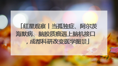红星观察丨当孤独症、阿尔茨海默病、脑胶质瘤遇上脑机接口，成都科研改变医学图景