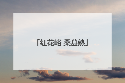 红花峪 桑葚熟