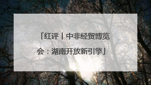 红评丨中非经贸博览会：湖南开放新引擎