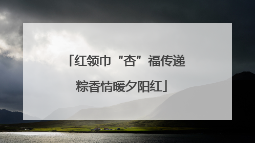红领巾“杏”福传递 粽香情暖夕阳红