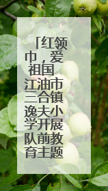 红领巾，爱祖国 江油市三合镇逸夫小学开展队前教育主题活动