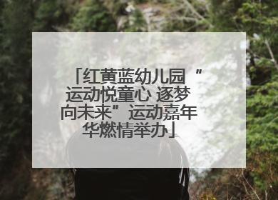 红黄蓝幼儿园“运动悦童心 逐梦向未来”运动嘉年华燃情举办