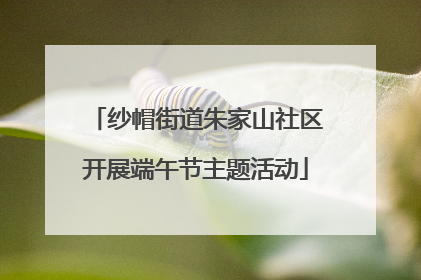 纱帽街道朱家山社区开展端午节主题活动