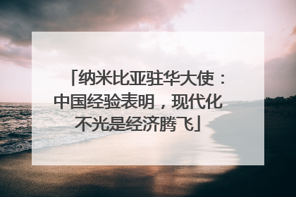 纳米比亚驻华大使：中国经验表明，现代化不光是经济腾飞