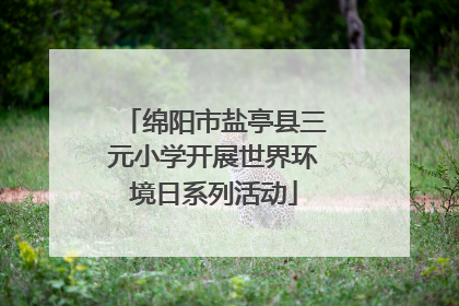 绵阳市盐亭县三元小学开展世界环境日系列活动