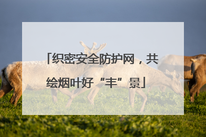 织密安全防护网，共绘烟叶好“丰”景