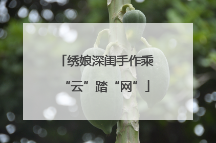 绣娘深闺手作乘“云”踏“网”