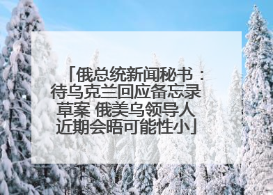 俄总统新闻秘书：待乌克兰回应备忘录草案 俄美乌领导人近期会晤可能性小