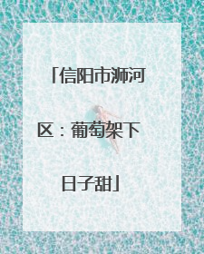信阳市浉河区：葡萄架下日子甜