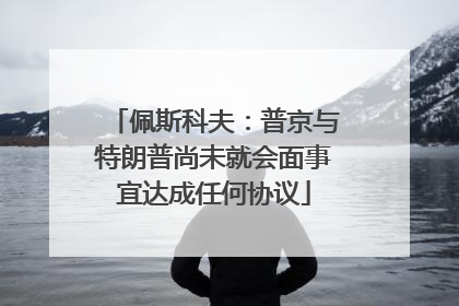 佩斯科夫：普京与特朗普尚未就会面事宜达成任何协议