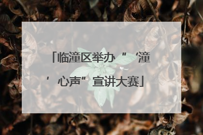 临潼区举办“‘潼’心声”宣讲大赛