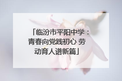 临汾市平阳中学：青春向党践初心 劳动育人谱新篇
