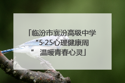 临汾市襄汾高级中学“5·25心理健康周” 温暖青春心灵