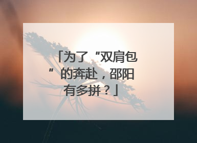 为了“双肩包”的奔赴，邵阳有多拼？