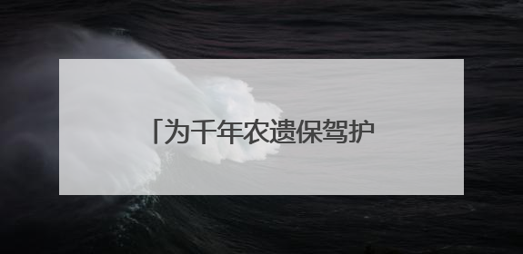为千年农遗保驾护航！《丽水市青田稻鱼共生系统保护发展条例》正式施行