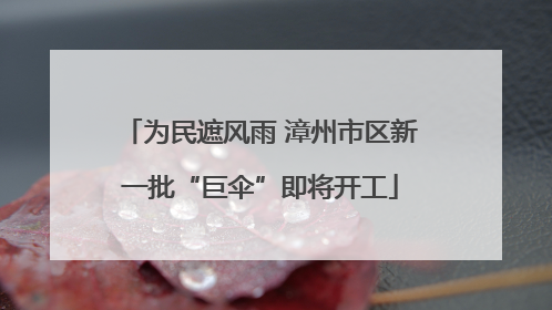 为民遮风雨 漳州市区新一批“巨伞”即将开工
