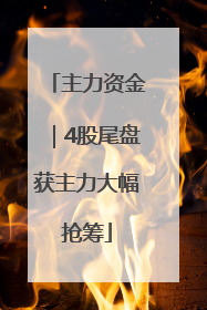 主力资金｜4股尾盘获主力大幅抢筹