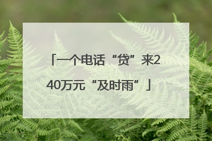 一个电话“贷”来240万元“及时雨”