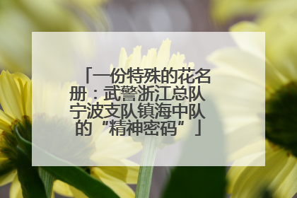 一份特殊的花名册：武警浙江总队宁波支队镇海中队的“精神密码”