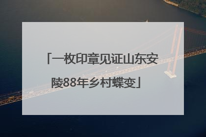 一枚印章见证山东安陵88年乡村蝶变